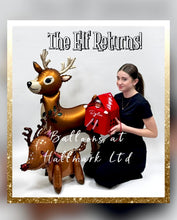 Load image into Gallery viewer, Elf House