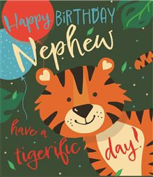 Nephew birthday card